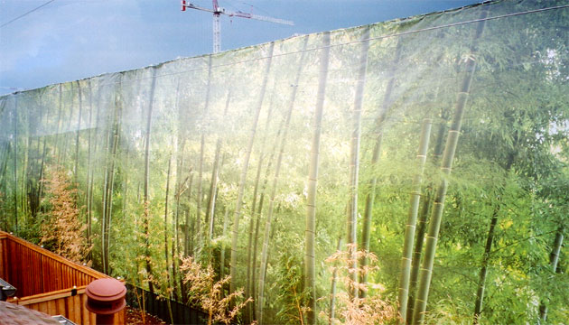 A large banner printed to look like a bamboo forest mounted on a large fence